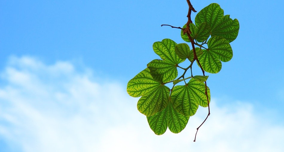 Hogyan legyél boldogabb?